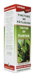 FAVISAN Tinctura de Patlagina 50 ml