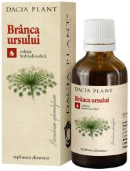 DACIA PLANT Tinctura de Branca ursului 50 ml