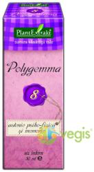 PlantExtrakt Polygemma Nr. 8 - Astenie Psiho-Fizica/Memorie 50 ml