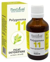 PlantExtrakt Polygemma Nr. 11 - Ficat 50 ml