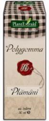 PlantExtrakt Polygemma Nr. 16 - Plamani 50 ml