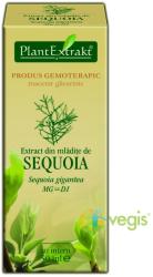 PlantExtrakt Extract din Mladite de Sequoia 50 ml