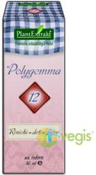 Polygemma 12 Rinichi detoxifiere 50 ml
