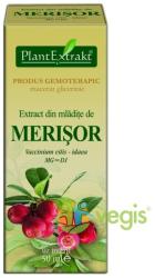 PlantExtrakt Extract din Mladite de Merisor 50 ml