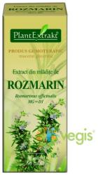 PlantExtrakt Extract din Mladite de Rozmarin 50 ml