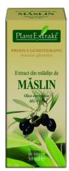 PlantExtrakt Extract din Mladite de Maslin 50 ml