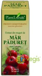 PlantExtrakt Extract din Muguri de Mar paduret 50 ml