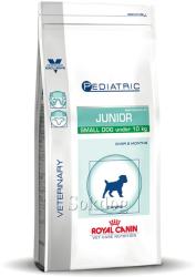 Royal Canin Pediatric Junior Small Dog 800 g