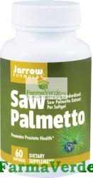 Jarrow Formulas Saw Palmetto 160 mg 60 comprimate