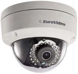 EuroVideo EVC-IP-DV2AP2S
