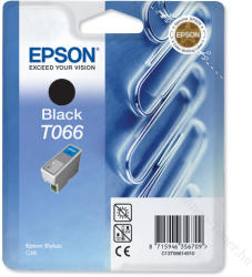 Epson T066