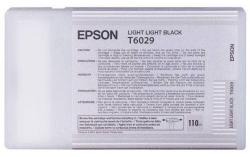 Epson T6029