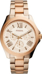 Fossil Am4634