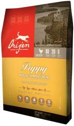 ORIJEN Dog Junior 6kg