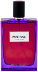 Molinard Patchouli EDP 75 ml