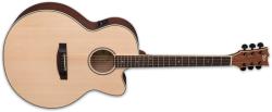 ESP LTD J-310e Ns