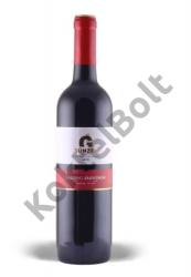 Günzer Tamás Villányi Cabernet Sauvignon vörösbor 2023 0, 75 L