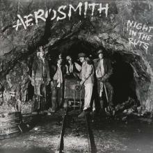 Aerosmith Night In The Ruts