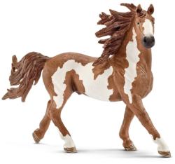 Schleich Pinto Csődör (13794)