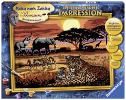 Ravensburger Pictura Pe Numere Safari African (28819)