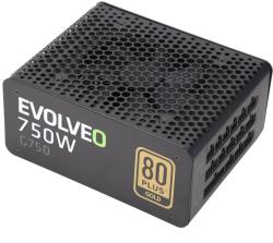EVOLVEO E-G750R 750W 80 PLUS Gold