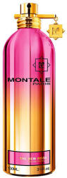 Montale The New Rose EDP 100 ml