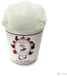 Hideg Nyalat Vanília jégkrém (paleo, vegán, gluténmentes, tejmentes) 450ml