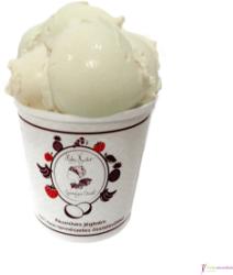 Hideg Nyalat Ganodermás kávé jégkrém (paleo, vegán, gluténmentes, tejmentes) 150ml