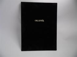 TOPTIMER Zsebnaptár, álló elrendezésű, TOPTIMER "Duplex", kék-világoskék (NKD035KVKU) - webpapir