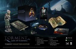 Techland Torment Tides of Numenera [Collector's Edition] (PS4)