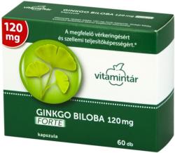 Vitamintár Ginkgo Biloba Forte 120 mg kapszula 60 db