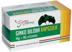 Vitanorma Ginkgo Biloba kapszula Mg+B6 vitamin 60 db
