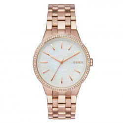 DKNY NY2581