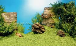 Juwel Poster 1, S / 60x30 cm (86250)