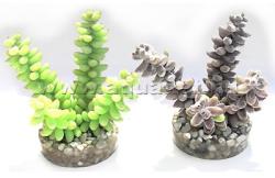 Sydeco Donkey műnövény 10 cm (SYD49690)