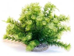 Sydeco Marina Bowl műnövény 21 cm (SYD49610)