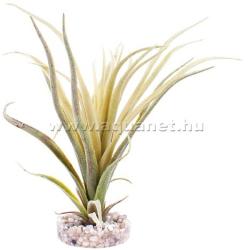 Sydeco Tillandsia Fan műnövény 22 cm