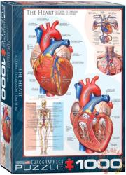EUROGRAPHICS The Heart 1000 db-os (6000-0257)