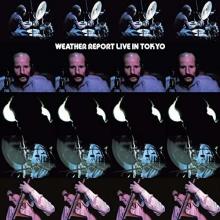 Weather Report Live In Toyko