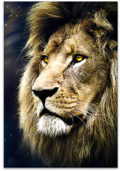 Trefl Oroszlán portré 1500 db-os (26139)