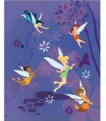 Markas Paturica 'Disney's Fairies Lenjerii de pat bebelusi‎, patura bebelusi