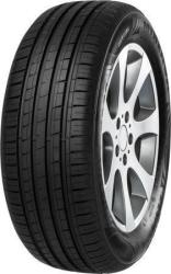 Minerva F209 205/55 R16 91W