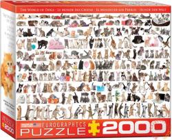 EUROGRAPHICS The World of Cats 2000 db-os (8220-0580)