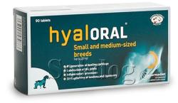 Vetri-Care Hyaloral Small tabletta 90db/doboz