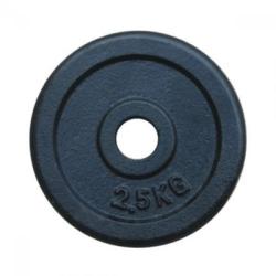 MASTER SPORT Дискове MASTER 2x25 кг, стоманени