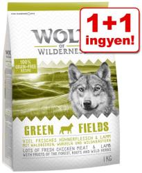 Wolf of Wilderness Junior Wild Hills 2x1 kg