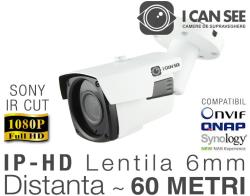 ICANSEE ICSL-IP2000S