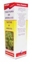 FAVISAN Tinctura de angelica x005 50ml FAVISAN