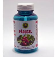 Hypericum Plant Paducel 60cps HYPERICUM