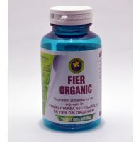 Hypericum Plant Fier organic 60cps HYPERICUM